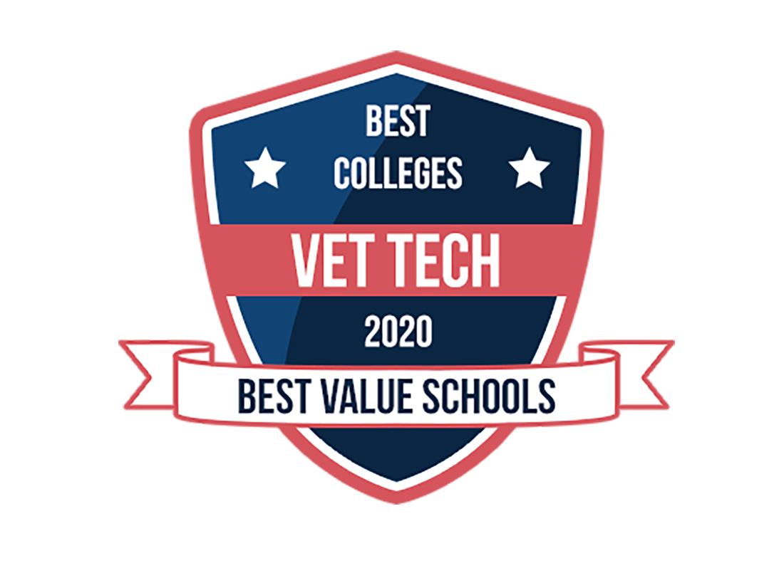 Vet Tech Program named one of Top Ten Best Value Schools Mercy University