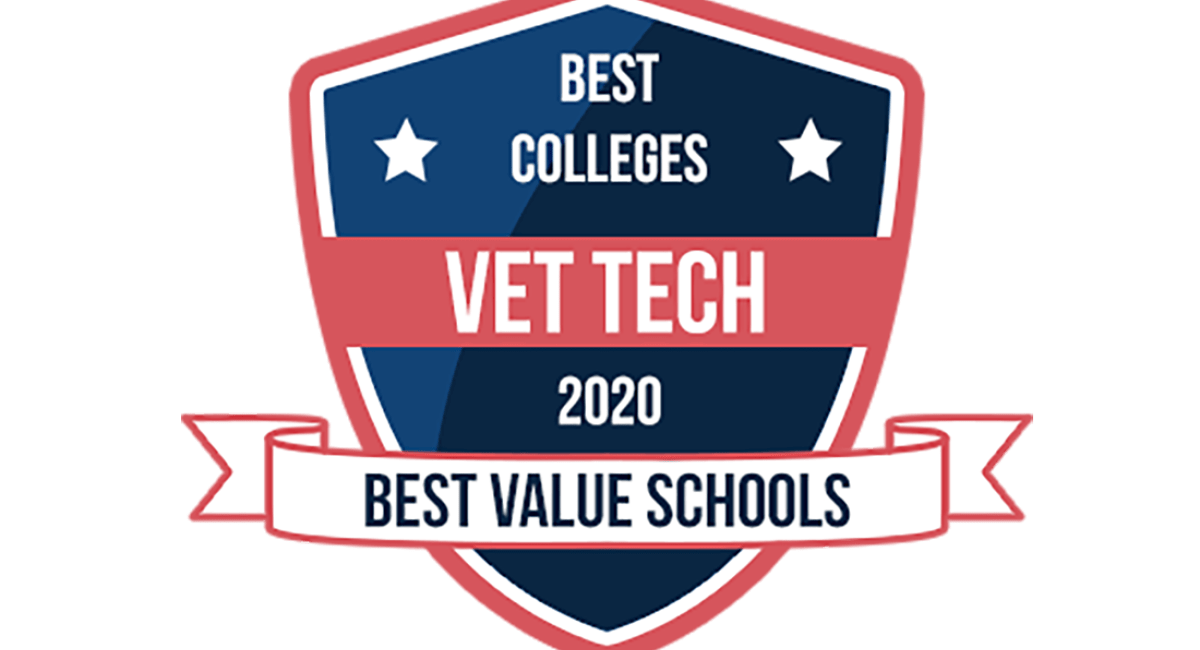 Vet Tech Program named one of Top Ten Best Value Schools Mercy University
