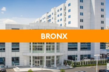 Bronx Accepted Student Day