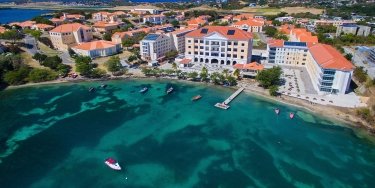 Saint George's University