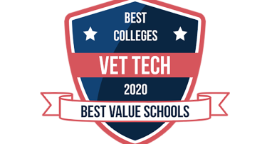 Vet Tech Program named one of Top Ten Best Value Schools