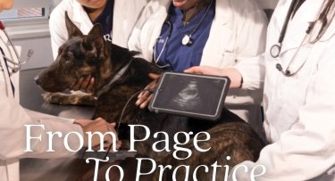 From Page to Practice