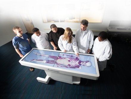 Anatomage table and students