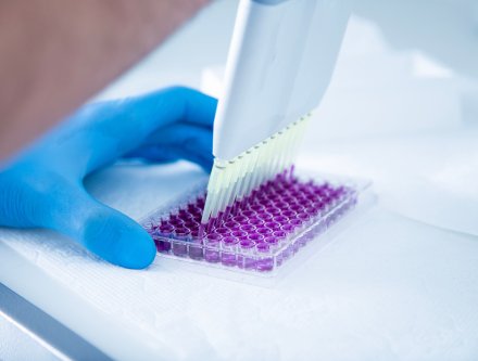 biologist using pipettes