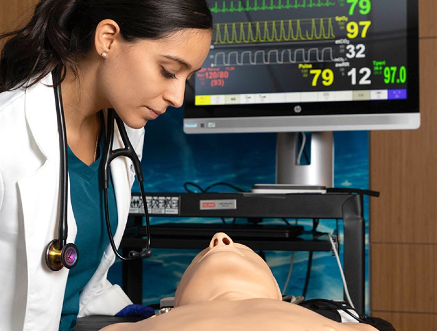 Nyu Pa Program Physician Assistant M.S. Program | New York | Mercy University