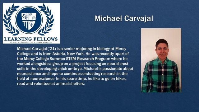 Carvajal Learning Fellow