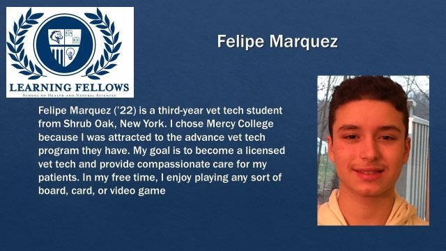 Marquez Learning Fellow